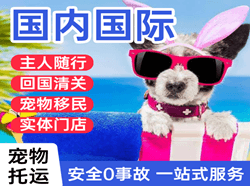 丹东浪头航空货运国际宠物托运 【国